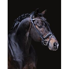 Finesse Snaffle Bridle Cassidy | Round Stitched| Silver Buckles